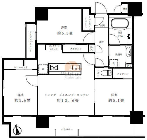 ミオカステーロ六町801間取図