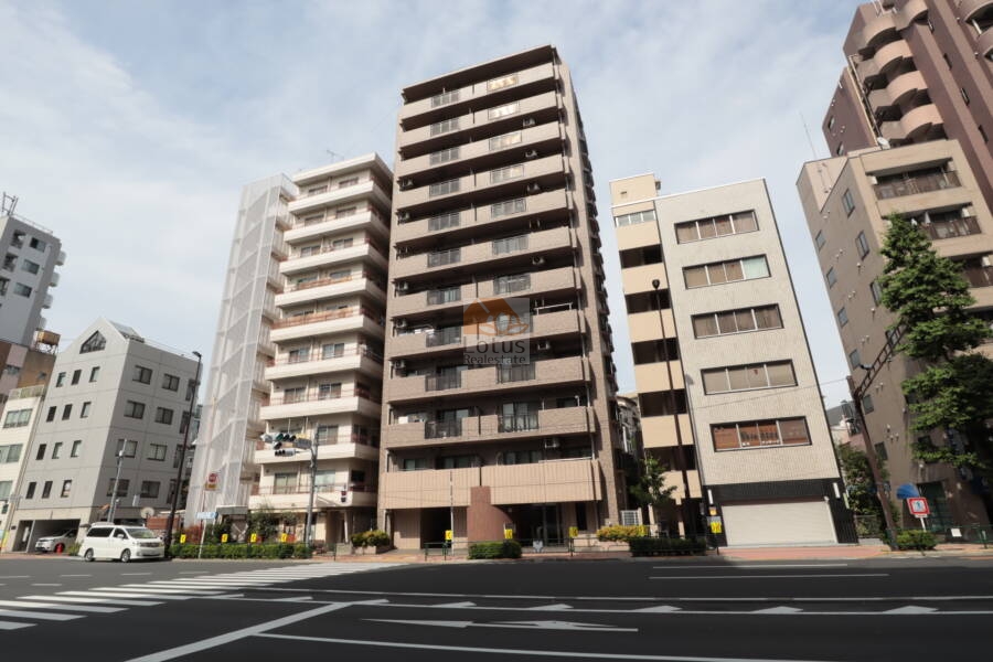 レクセルマンション音羽外観2｜南西側は大通りに面していますが、その分周辺に高い建物もありません。このように視認性も良好です。