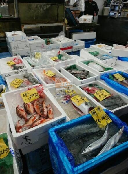 東京都中央卸売市場 足立市場｜徒歩5分に「東京都中央卸売市場 足立市場」があります。一般開放日があり、魚介類などの購入や、飲食店も楽しめます。