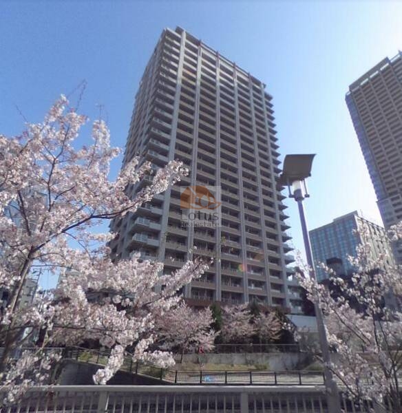 プラウドタワー東五反田外観４｜プラウドタワー東五反田は、目黒川前に建つタワーマンションです。目の前はお花見スポットとなっています。