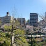 クレヴィア錦糸町ガーデンコースト303眺望21年3月