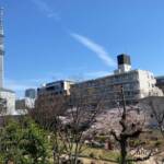 クレヴィア錦糸町ガーデンコースト