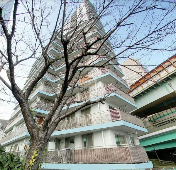 セザールスカイリバー外観３｜セザールスカイリバーは平成11年築、20階建てのマンションです。
