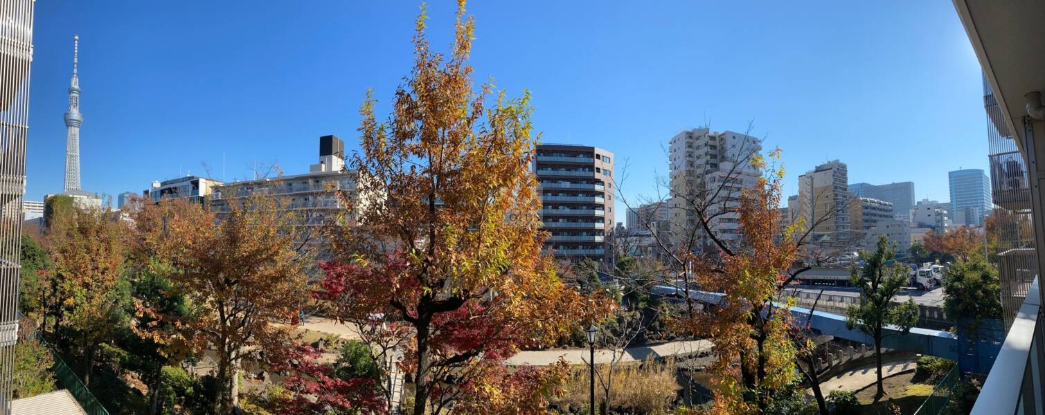 眺望21年12月2｜秋は紅葉が周辺を彩ります（2021年12月）。