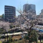 クレヴィア錦糸町ガーデンコースト
