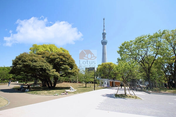 墨田区立 隅田公園