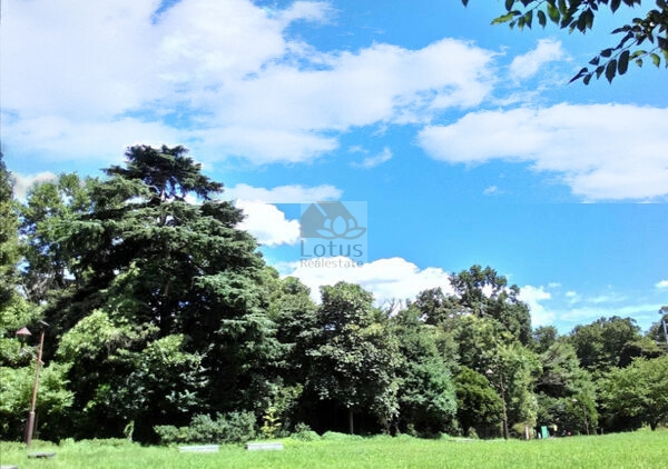 中野区立江古田の森公園｜徒歩5分に「中野区立江古田の森公園」があります。