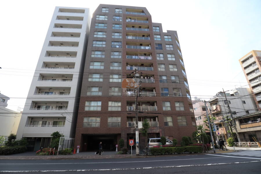 菱和パレス菊川外観1