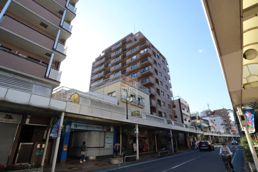 ライオンズプラザ小岩外観1｜ライオンズプラザ小岩は、落ち着いたブラウン系の、12階建てのマンションです。