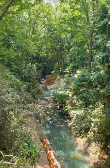 等々力渓谷公園 北側｜徒歩5分に「等々力渓谷公園」があります。