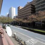グリーンキャピタル広尾