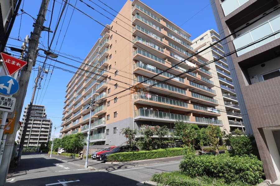 リバージュ住吉外観1｜リバージュ住吉は平成21年築、11階建てのマンションです。