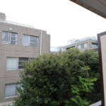 ライオンズマンション弥生町