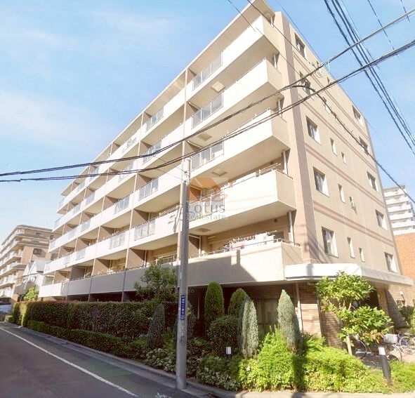 藤和シティホームズ金町ラフィーネ外観２｜藤和シティホームズ金町ラフィーネは平成17年築、6階建のマンションです。