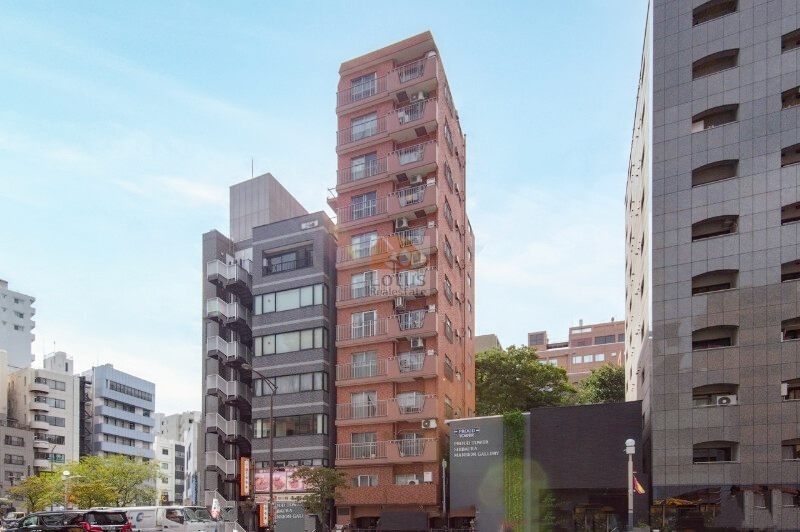 ライオンズマンション三田外観１｜ライオンズマンション三田は昭和54年築、12階建てのマンションです。