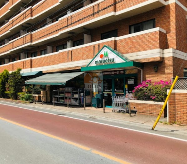 マルエツ 二子玉川店｜徒歩10分に「マルエツ 二子玉川店」があります。