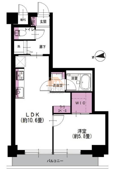 ライオンズマンション弥生町404間取図