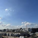 アデニウム田端