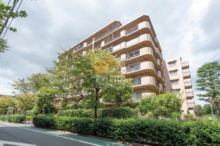 歩道側から見上げる位置で、ベージュ系外壁の中層マンションが写っています。道路沿いには生垣と街路樹が並び、建物の外周をぐるりと囲んでいます。バルコニーコーナーは丸みのあるR形状、手すりと隔て板が確認できます。左手前が角部で、奥にはもう一棟が連なるように見えます。車道脇には白線が引かれ、空は薄い雲に覆われています。小豆沢サンハイツは、昭和55年築、8階建てのマンションです。