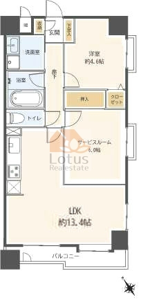 シャインハイツ大泉学園303間取図