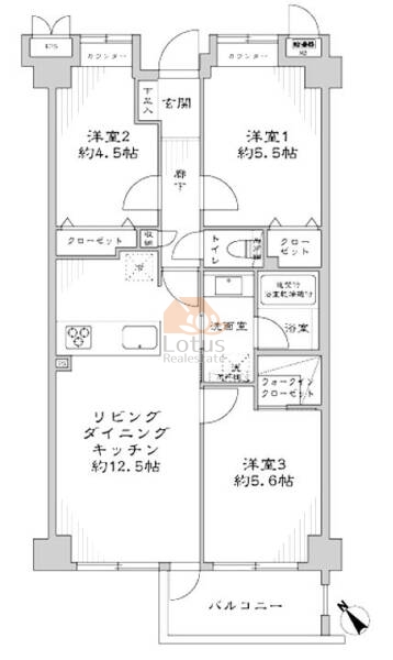 パルメゾン杉並205間取図