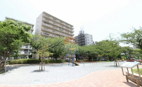 ドミール第２東品川外観３｜西側は「東品川公園」です。