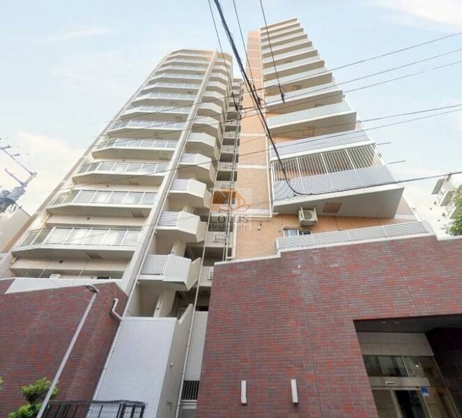 ライオンズステーションプラザ金町外観２｜ライオンズステーションプラザ金町は平成19年築、14階建てのマンションです。