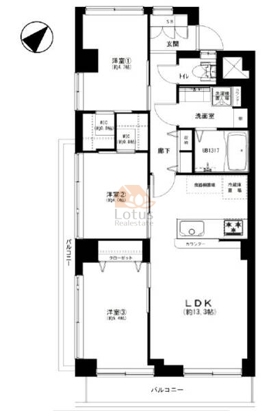 ドミール早稲田501間取図