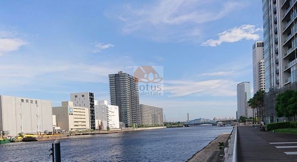 港南緑水公園｜「港南緑水公園」の東側は京浜運河です。