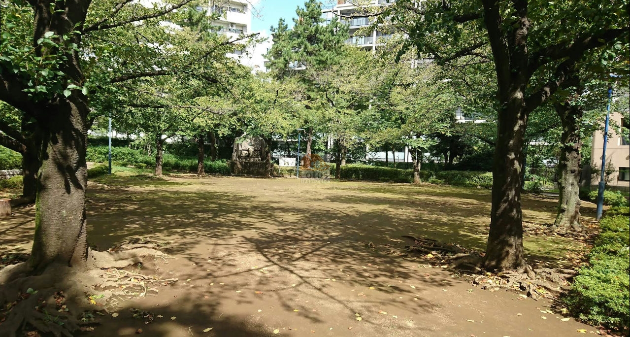 加賀西公園の広場がしっかり開けていて、木陰の静けさがゆるやかに届く場所です。周囲には板谷公園や加賀橋公園もあり、総戸数385戸のレジデンスにとって日常的な散歩ルートになりやすい環境といえます。緑量が多いので、ペット可の暮らしでも動線がつくりやすい公園配置になっています。シティテラス加賀は、平成25年築、15階建てのマンションです。