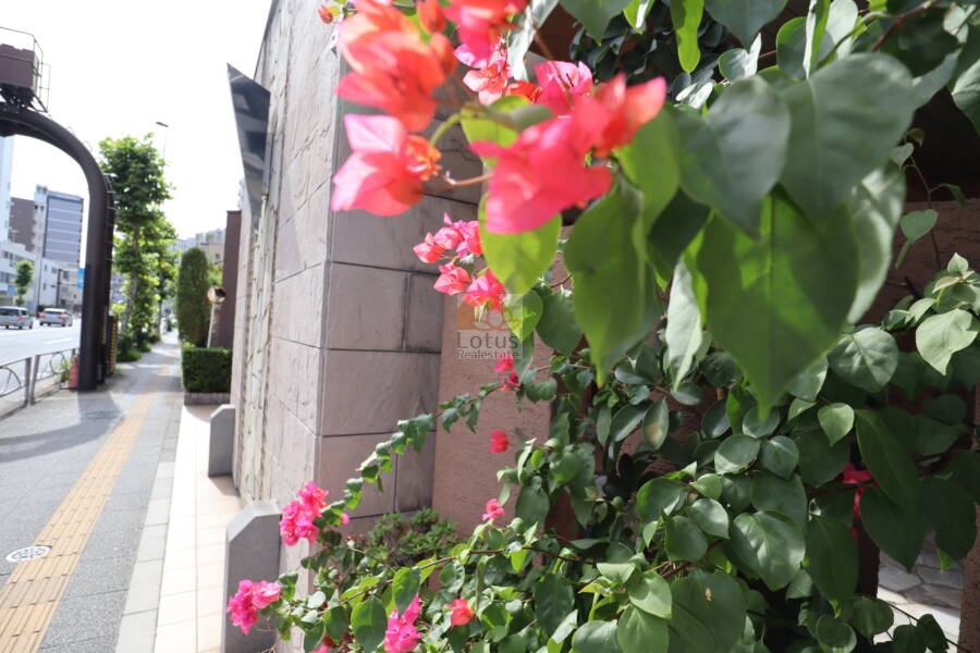 隅田川パークホームズ共用部5