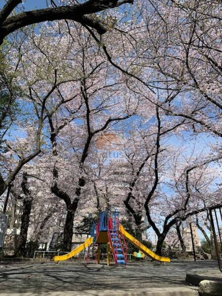 豊島区立駒込東公園3｜徒歩2分に「豊島区立駒込東公園」があります。