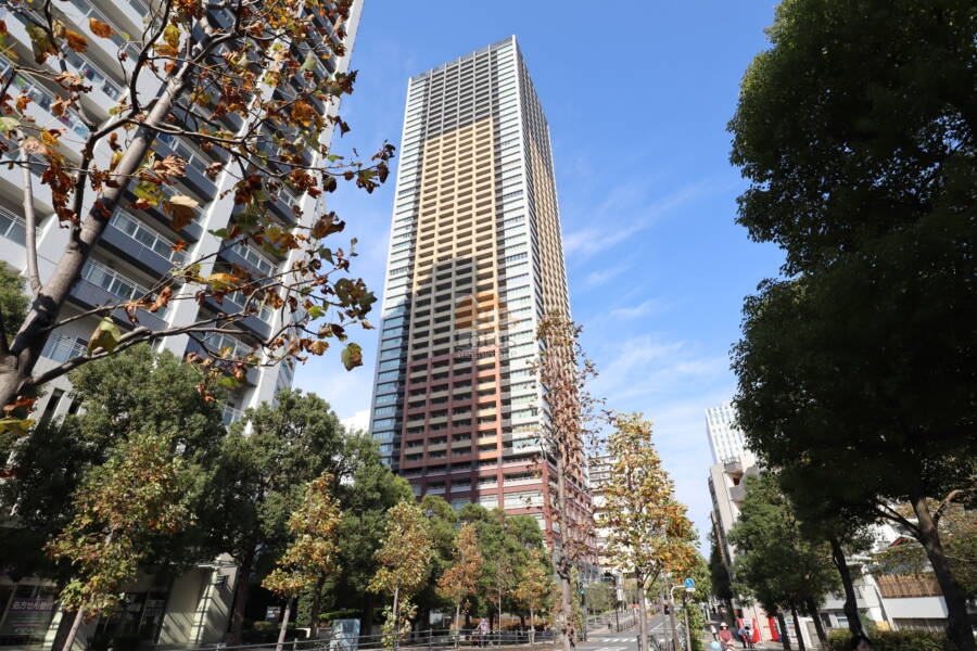 空を突き抜けるようにそびえるタワーは、都市の未来を象徴する存在。見上げたその瞬間から、この街と自分の距離が変わっていきます。