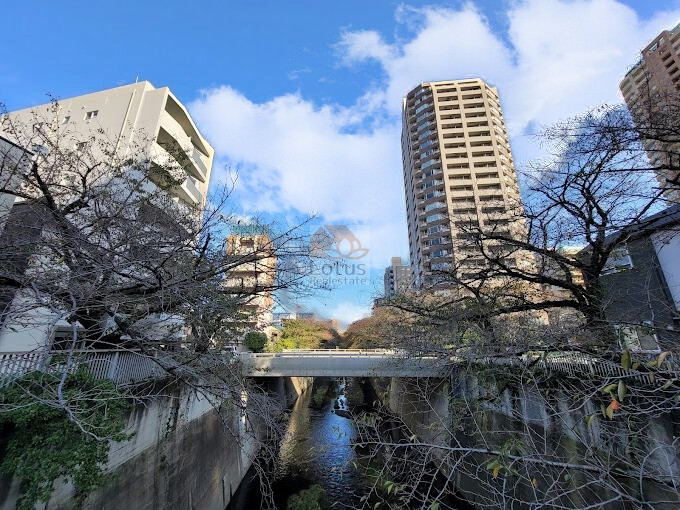 西早稲田シティタワー外観２