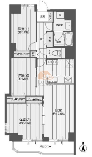 メゾンブロンシュ本駒込305間取図