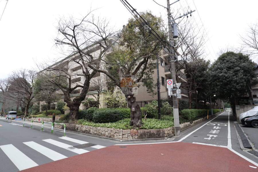 プラウド駒込外観11｜プラウド駒込は染井通り沿いに建つ14階建てのマンションです。