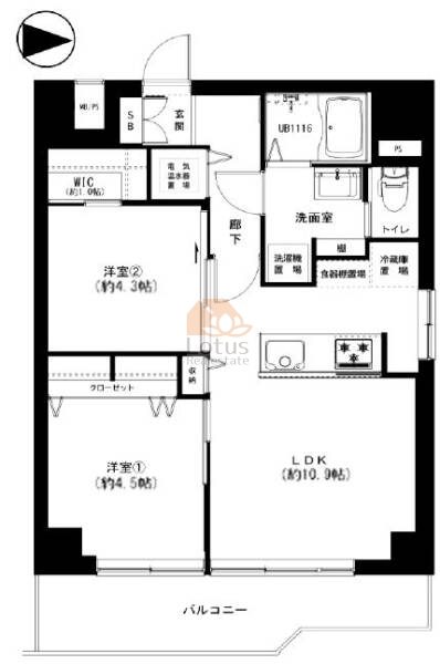 エテルナハウス田原町503間取図