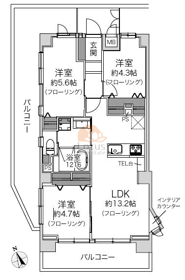 セントエルモ綾瀬610間取図