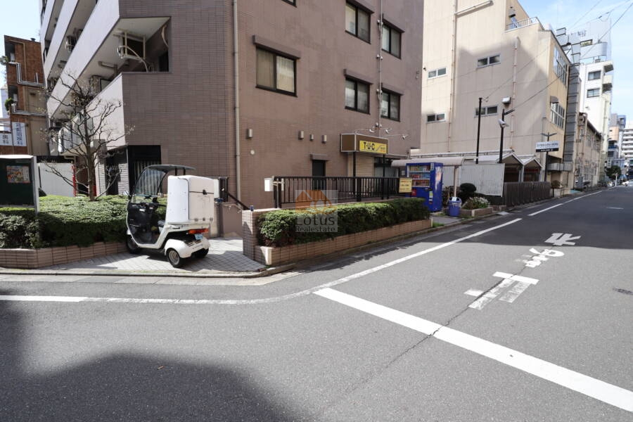 ライオンズマンション亀戸駅前公園外観3