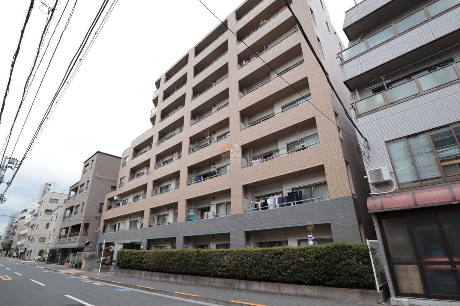 シャンノール清澄の外観が、ベージュ系タイルと連続したバルコニーでそろって写っています。前面道路の幅がきちんと取られていて車通りを確認しながら歩いていける距離感で、通りに面しながらも植え込みがワンクッションになって落ち着いた生活感が伝わります。