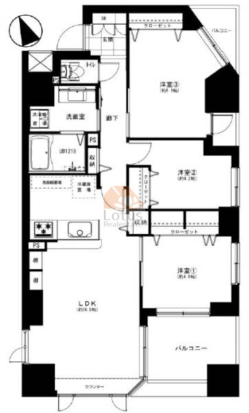 ルイシャトレ荻窪205間取図