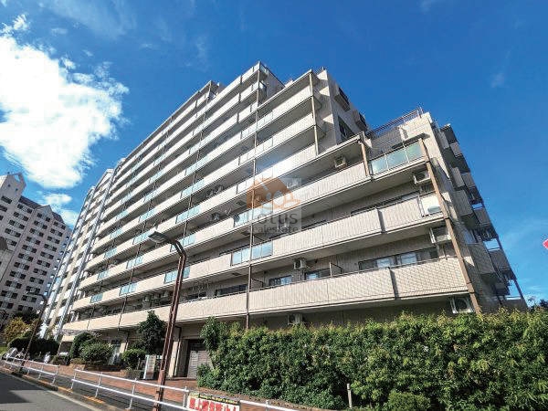 南向きの外観を捉えた写真で、11階建の建物が縦に伸びる姿が確認できます。ベージュ系タイル貼りの外壁で、前面には街路樹と植栽が整備され、通り沿いの景観に落ち着きを与えています。グランドヒルズＡは、平成6年築、11階建てのマンションです。