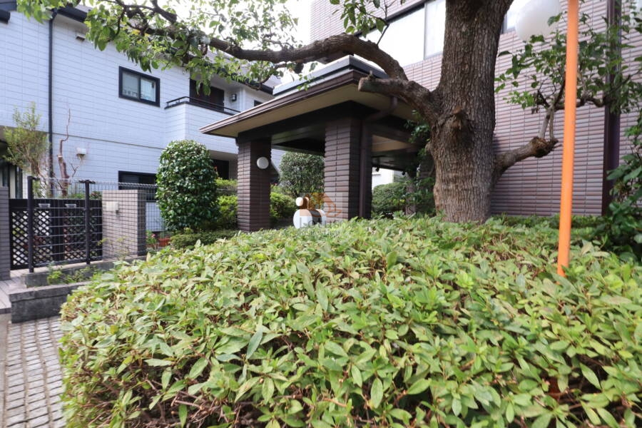 ダイアパレス松陰神社エントランス1