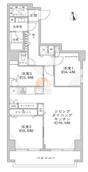 プチモンド目白台303間取図