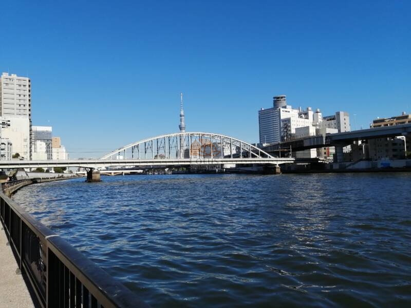 ライオンズマンション浅草橋 (13)｜墨田川から東京スカイツリーもよく見えます。