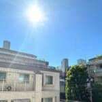 向陽ハイツ