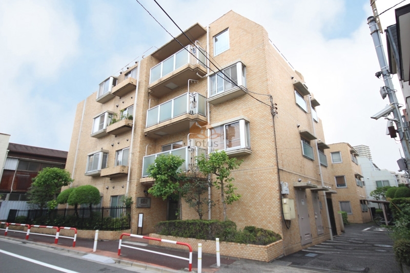 ライオンズマンション志村三丁目1｜ライオンズマンション志村三丁目は、ベージュのタイル貼り外壁と整えられた植栽が特徴の5階建マンション。前面道路は歩道付きで交通量も控えめ、ファミリーにも安心の住環境。