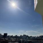 向島グリーンパレス