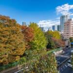 日興ロイヤルパレス西麻布