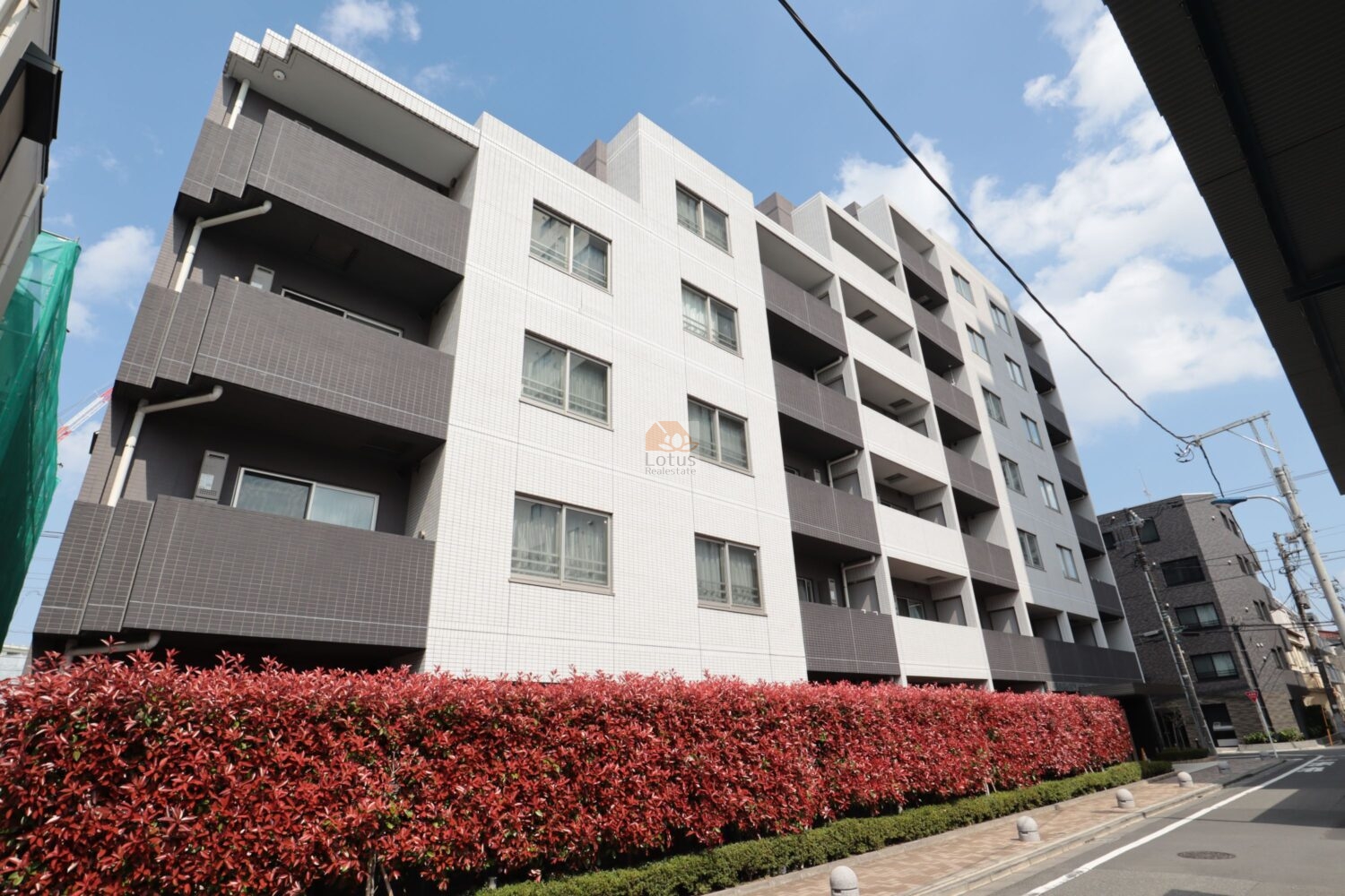 青い空を背景に、黒と白のツートンカラーがスタイリッシュな印象を与える「ステージグランデ尾久」の外観写真です。建物の手前には、鮮やかな赤みを帯びた生垣が長く続き、モダンな建物デザインに彩りを添えています。タイル貼りの外壁と、しっかりと張り出したバルコニーが重厚感を醸し出し、角地から見上げるアングルがそのデザイン性を際立たせています。